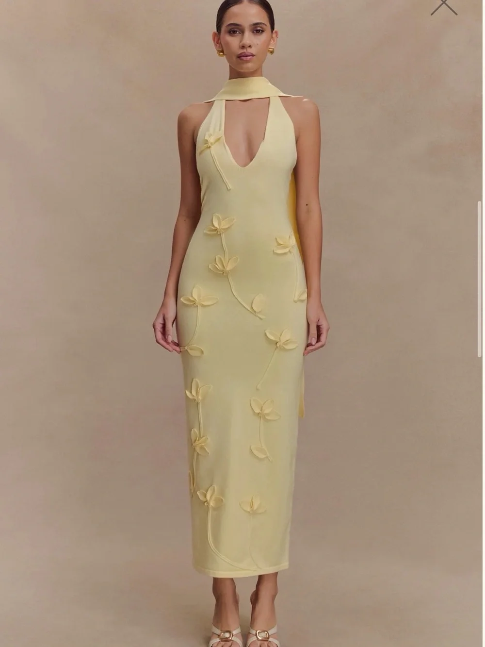 Meshki Yellow Floral Appliqué Midi Dress - Picture 1 of 6